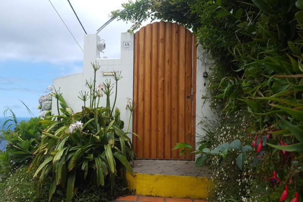 Holiday home Sunset Nest Ponta Delgada (Sao Miguel)